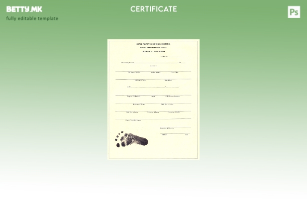 модерен стил Шаблон за извод од матична книга на родени во општа болница во пров